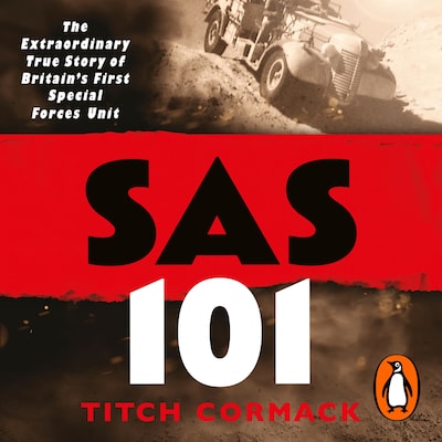 SAS 101