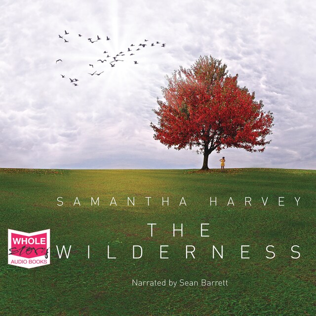 Book cover for The Wilderness