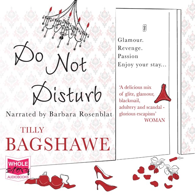 Book cover for Do Not Disturb