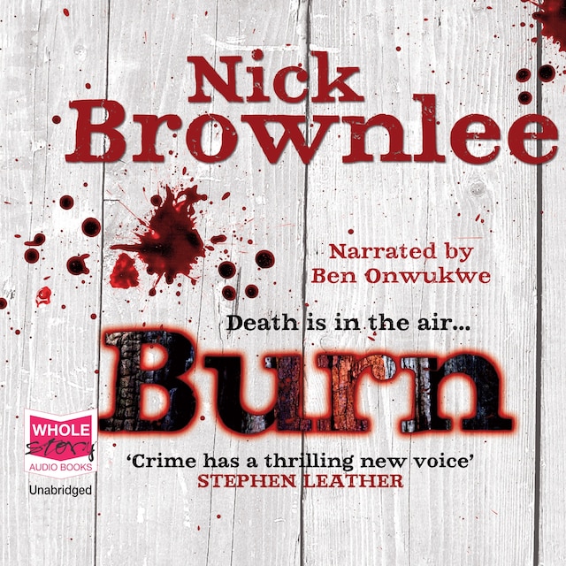 Book cover for Burn