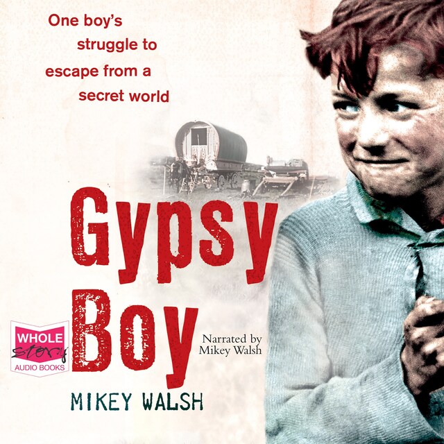 Book cover for Gypsy Boy