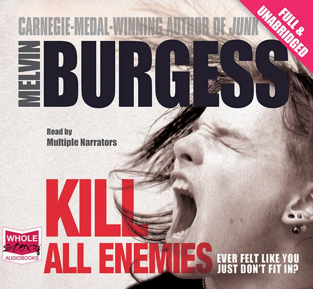 Book cover for Kill All Enemies