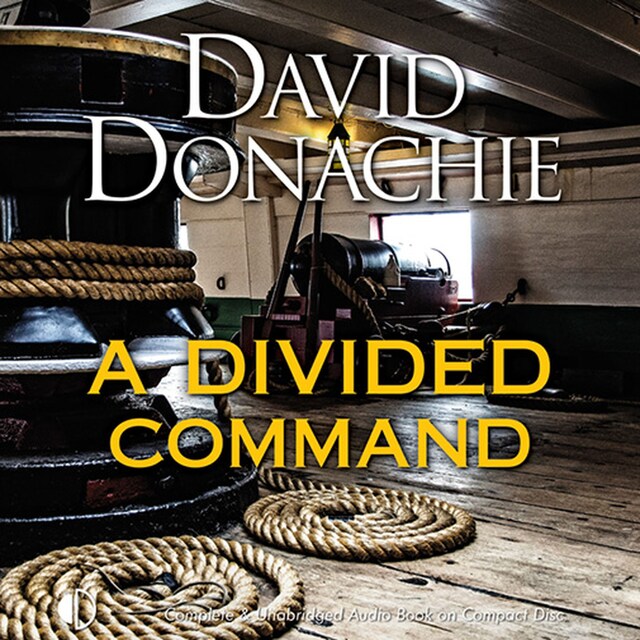 Book cover for A Divided Command