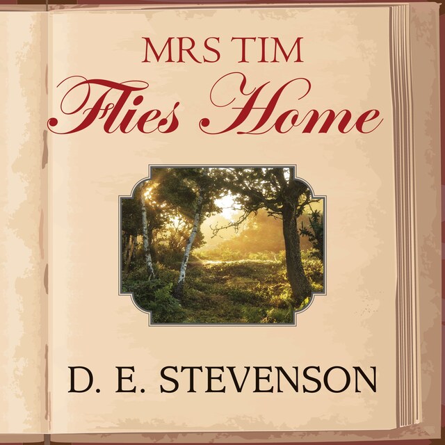 Kirjankansi teokselle Mrs Tim Flies Home