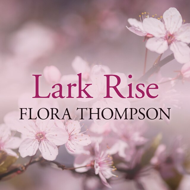 Book cover for Lark Rise