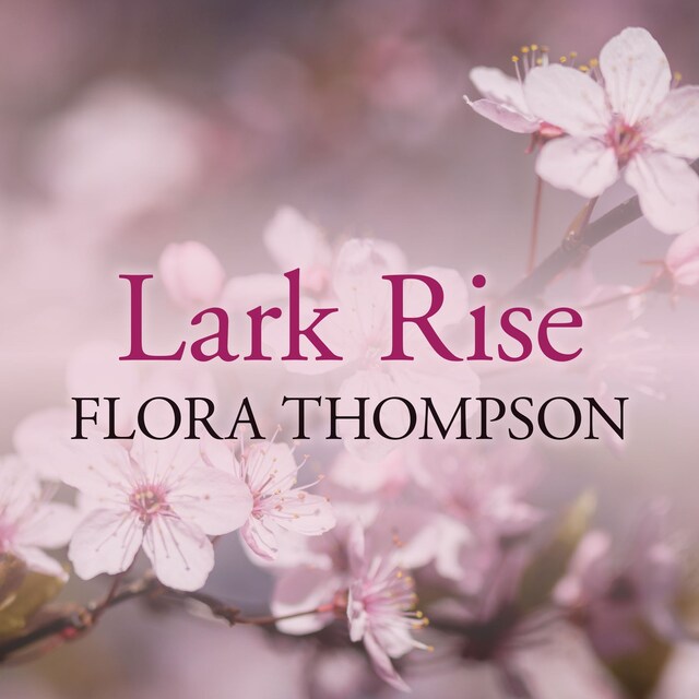 Buchcover für Lark Rise