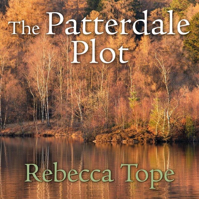 Book cover for The Patterdale Plot