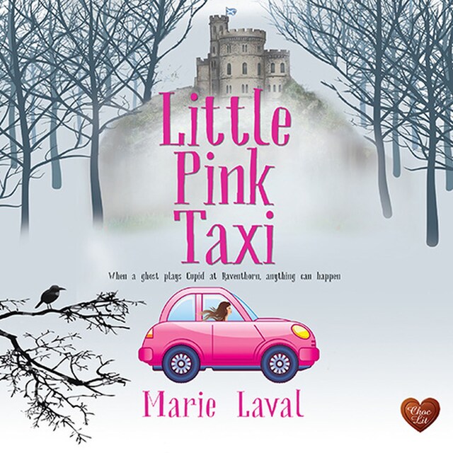 Book cover for Little Pink Taxi
