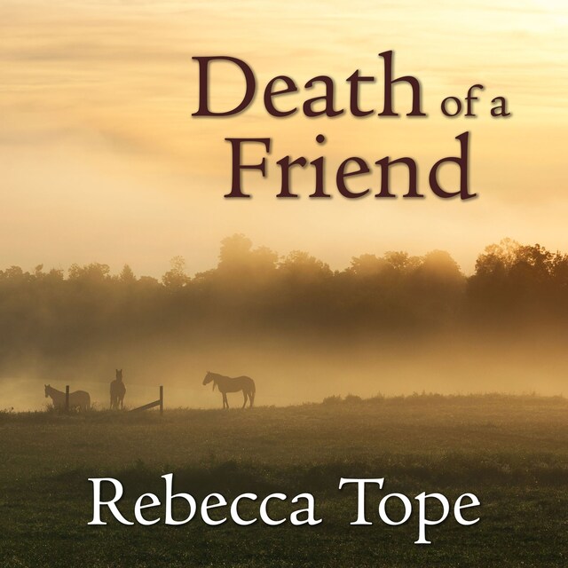 Book cover for Death of a Friend