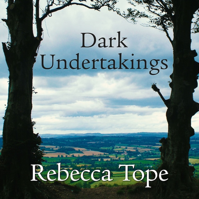 Portada de libro para Dark Undertakings