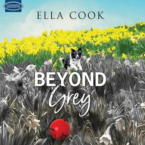 Beyond Grey bookCoverFor