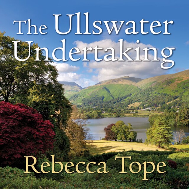 Book cover for The Ullswater Undertaking