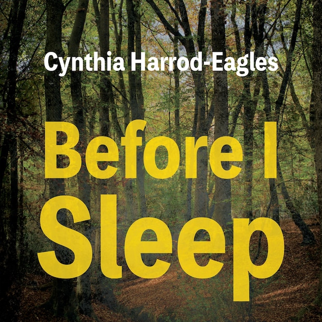 Book cover for Before I Sleep