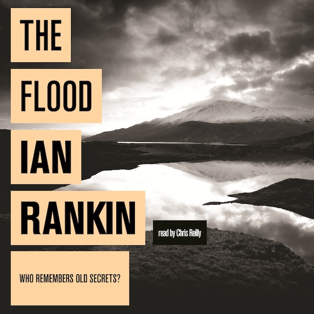Book cover for The Flood