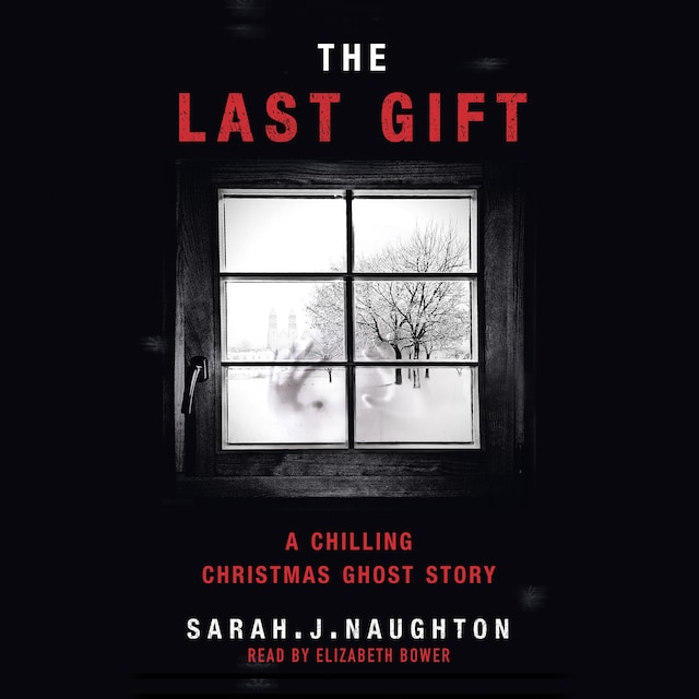 Book cover for The Last Gift