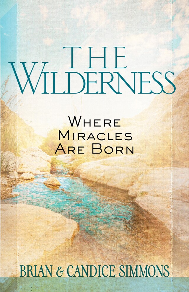 Book cover for The Wilderness