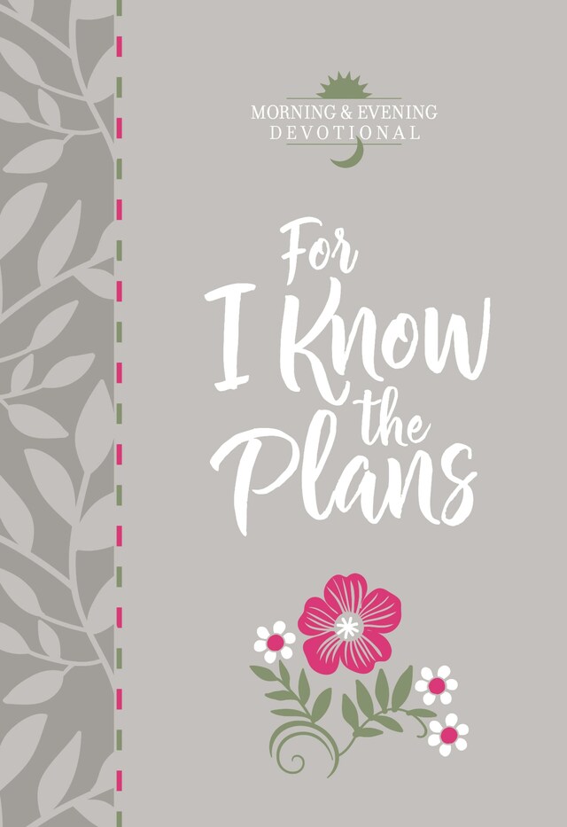 Book cover for For I Know the Plans