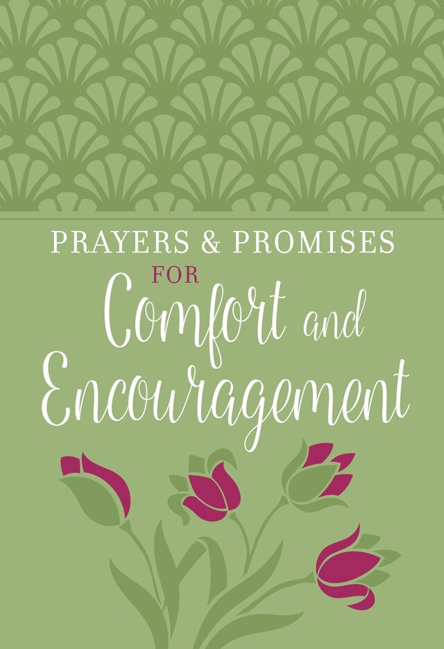 Book cover for Prayers & Promises for Comfort and Encouragement