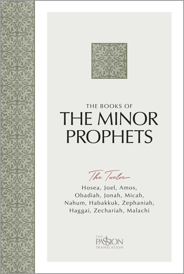 Boekomslag van The Minor Prophets