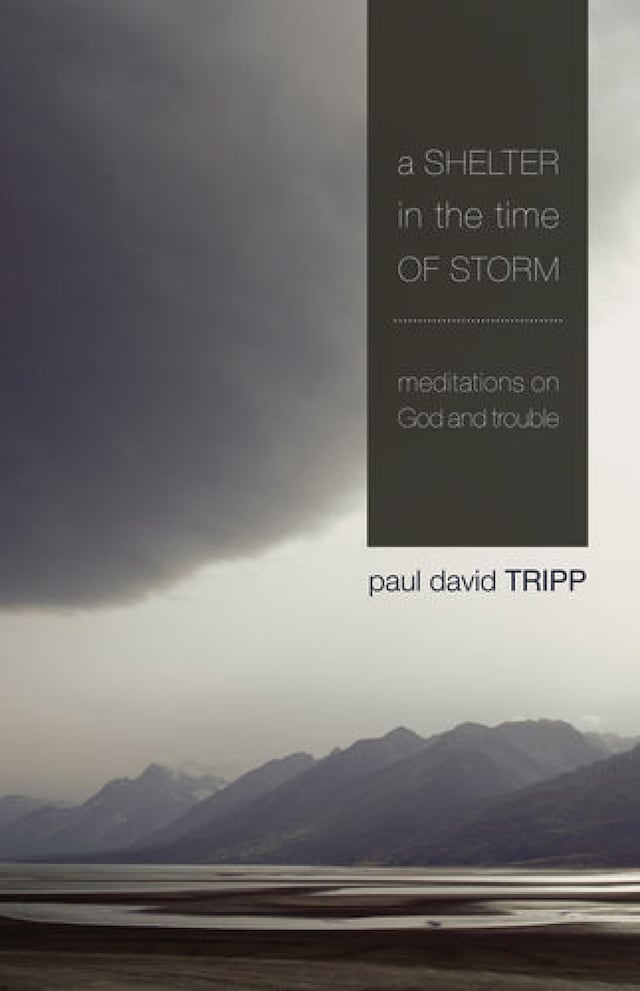 Book cover for A Shelter in the Time of Storm