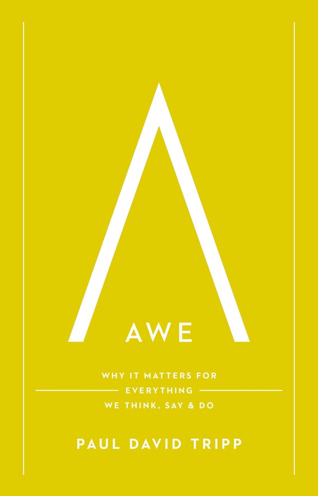 Portada de libro para Awe