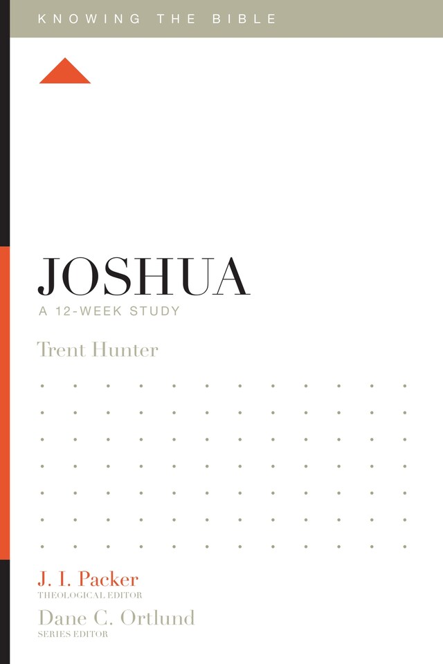 Buchcover für Joshua