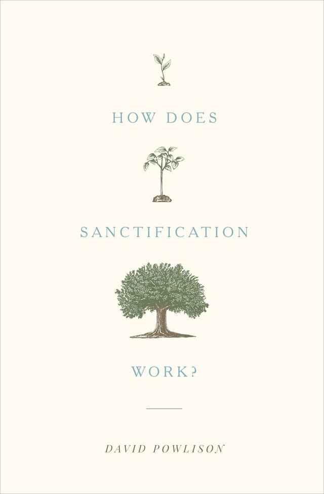 Kirjankansi teokselle How Does Sanctification Work?