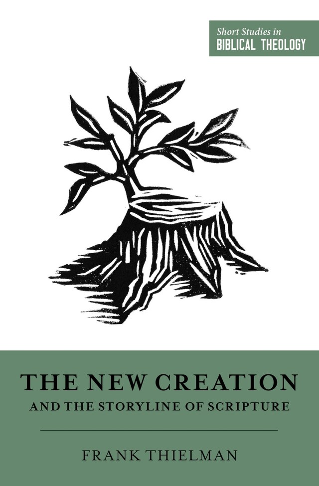 Book cover for The New Creation and the Storyline of Scripture