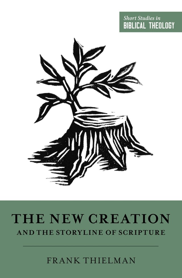 Boekomslag van The New Creation and the Storyline of Scripture