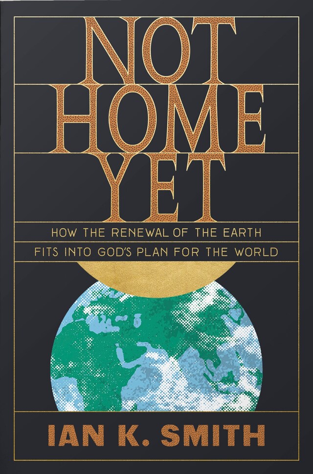 Copertina del libro per Not Home Yet