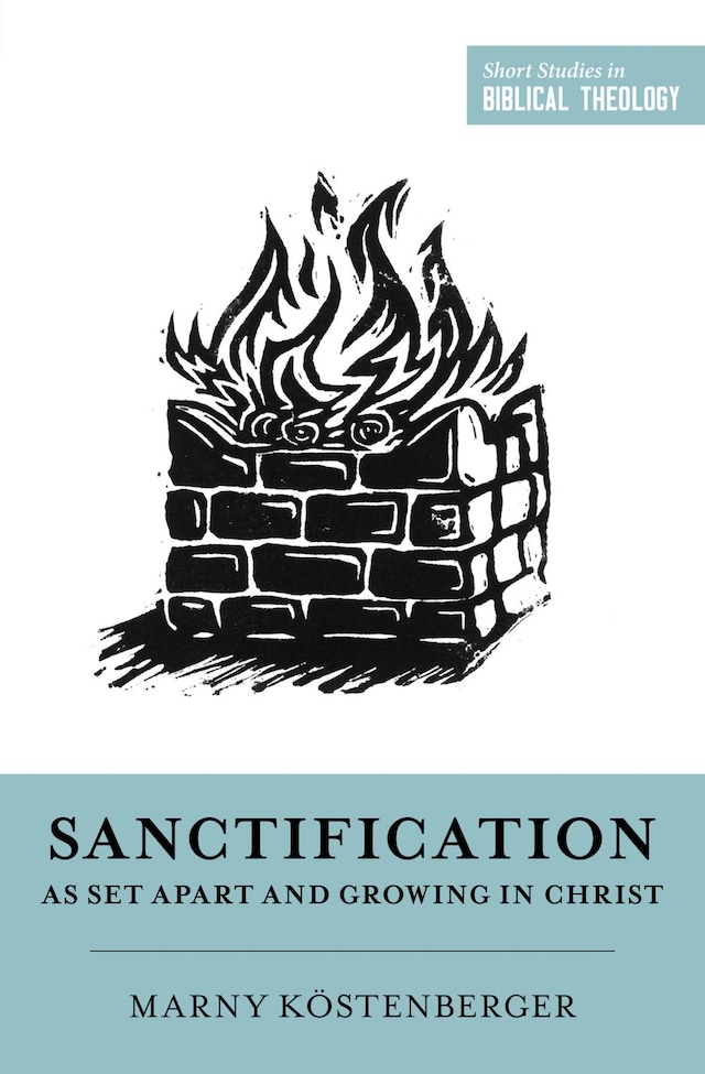 Book cover for Sanctification as Set Apart and Growing in Christ