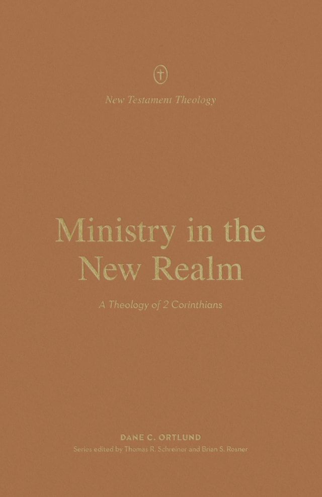Buchcover für Ministry in the New Realm