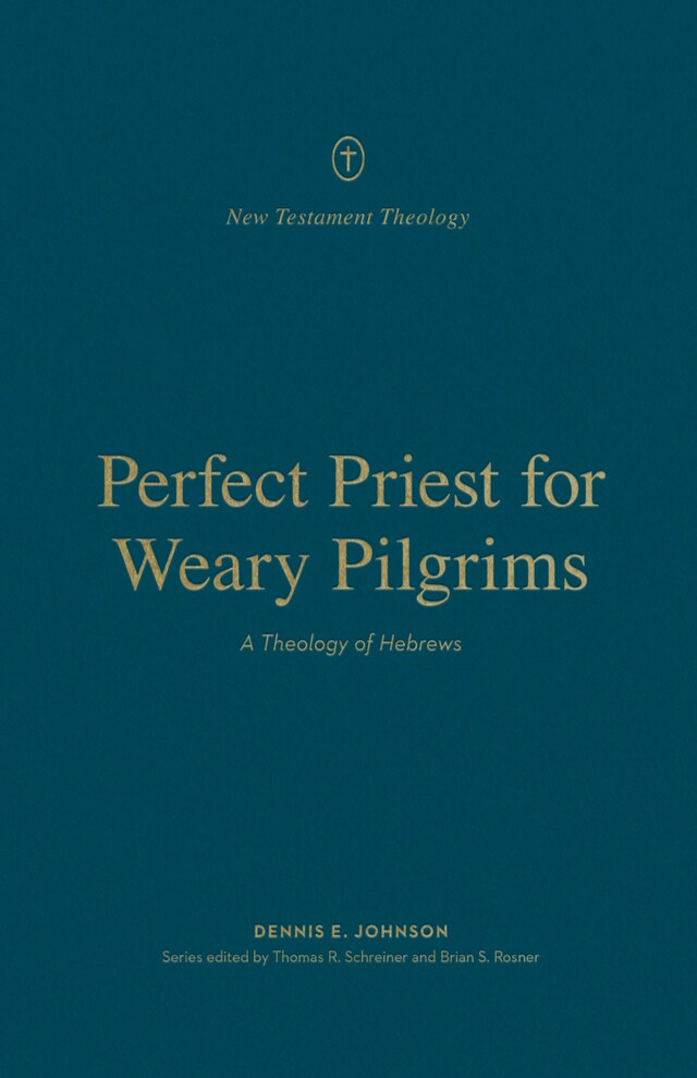 Boekomslag van Perfect Priest for Weary Pilgrims