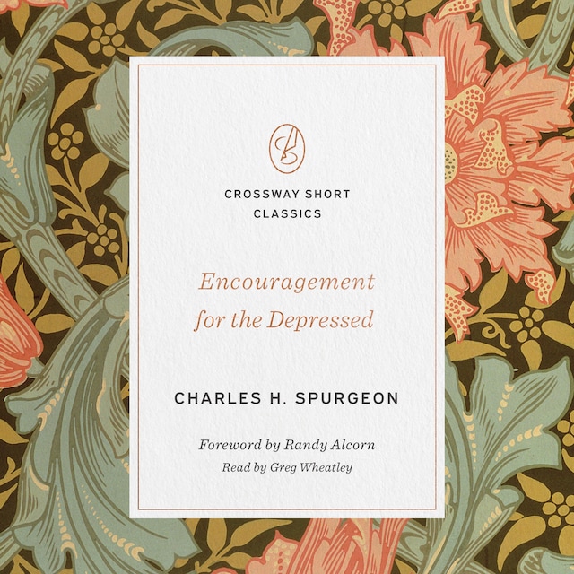 Book cover for Encouragement for the Depressed