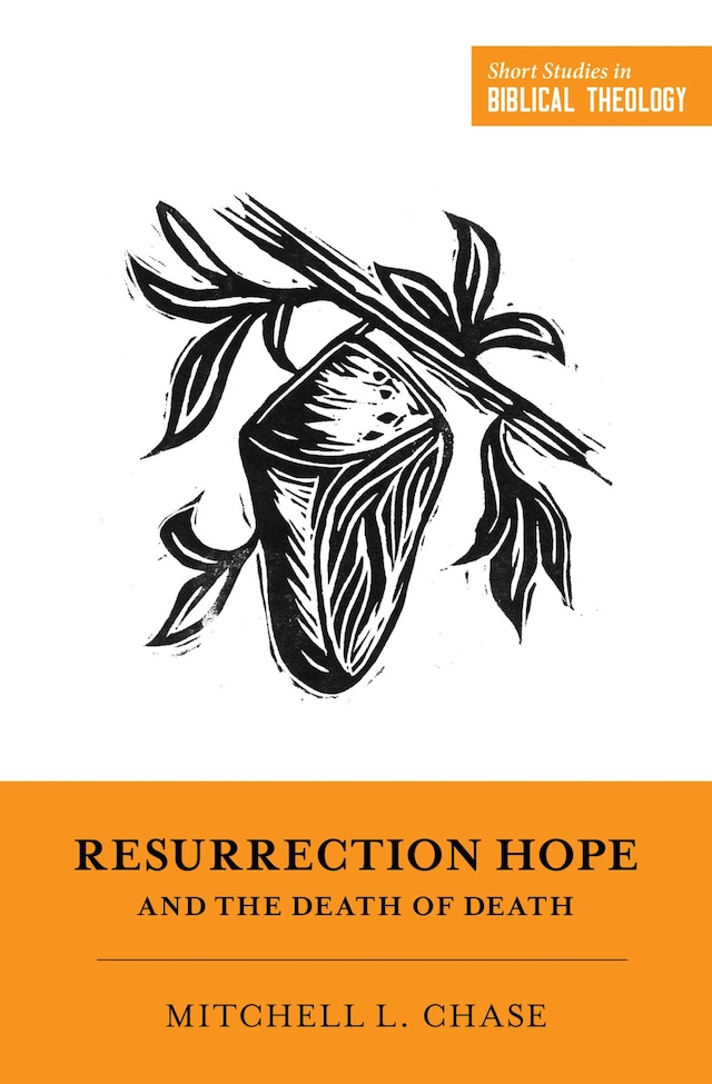 Book cover for Resurrection Hope and the Death of Death