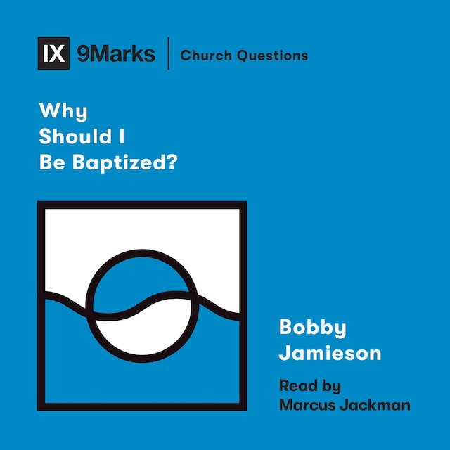 Kirjankansi teokselle Why Should I Be Baptized?