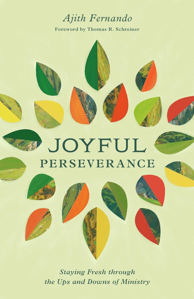 Book cover for Joyful Perseverance