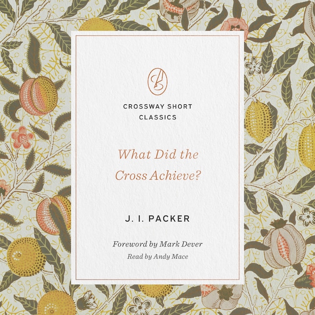 Book cover for What Did the Cross Achieve?