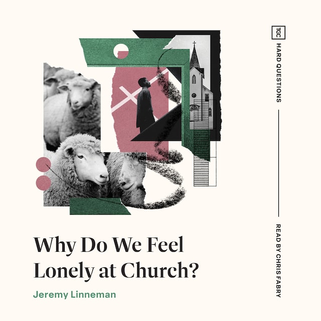 Book cover for Why Do We Feel Lonely at Church?