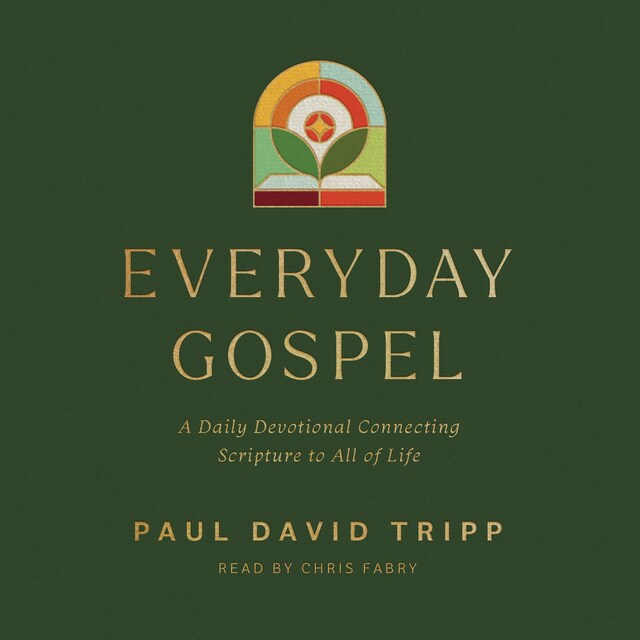 Book cover for Everyday Gospel