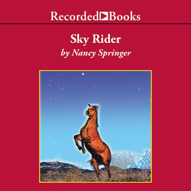 Bogomslag for Sky Rider