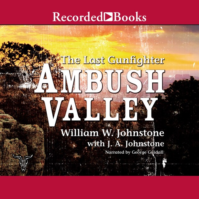 Book cover for Ambush Valley