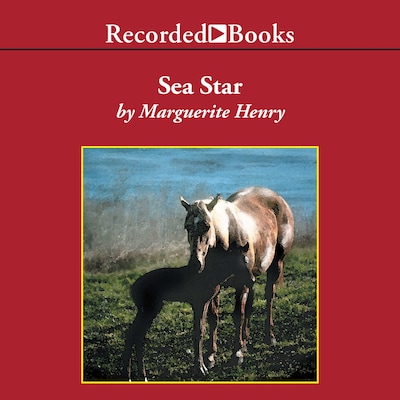 Sea Star
