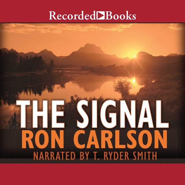 Book cover for The Signal