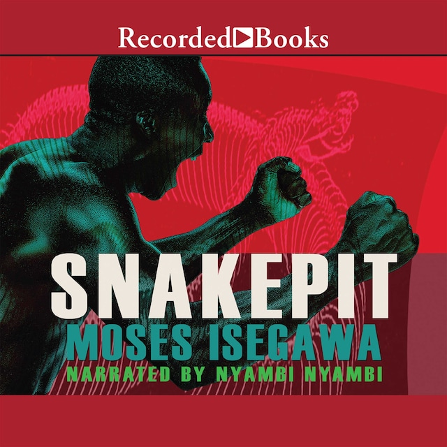 Book cover for Snakepit