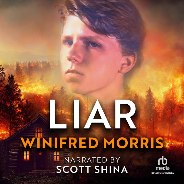 Book cover for Liar