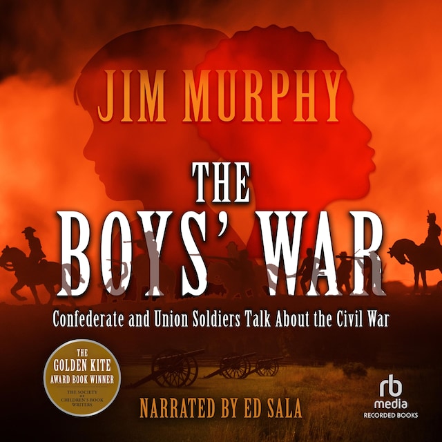 Book cover for The Boys' War