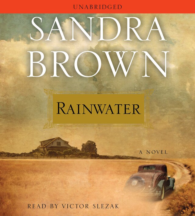 Boekomslag van Rainwater