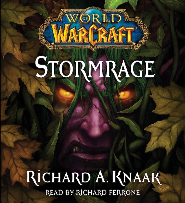 Book cover for World of Warcraft: Stormrage