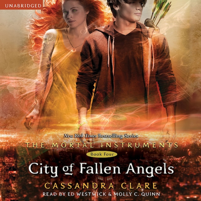 City of Fallen Angels Book cover for City of Fallen Angels